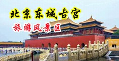 大鸡巴肏烂骚逼内射动画中国北京-东城古宫旅游风景区